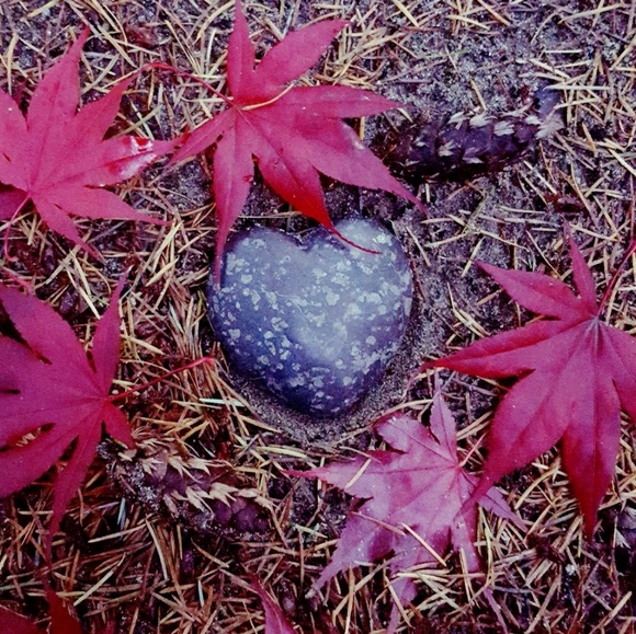 Meet your Posher, Wynne - Picture 1 of 1